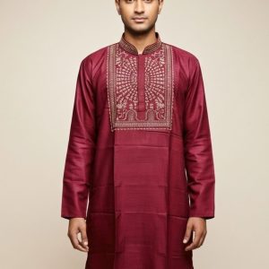 Pure Tussar Panjabi 29