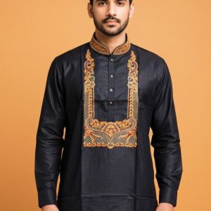 Pure Tussar Panjabi 2 5